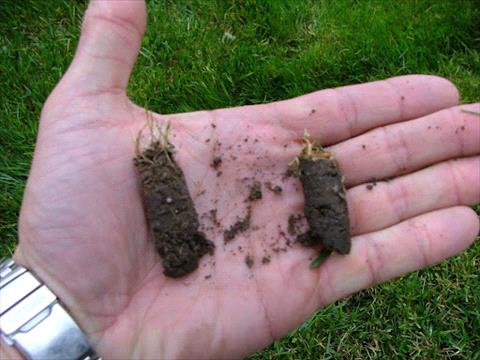 Core Aeration
