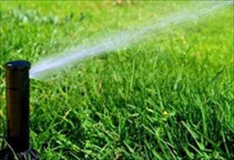 Watering lawn with sprinker